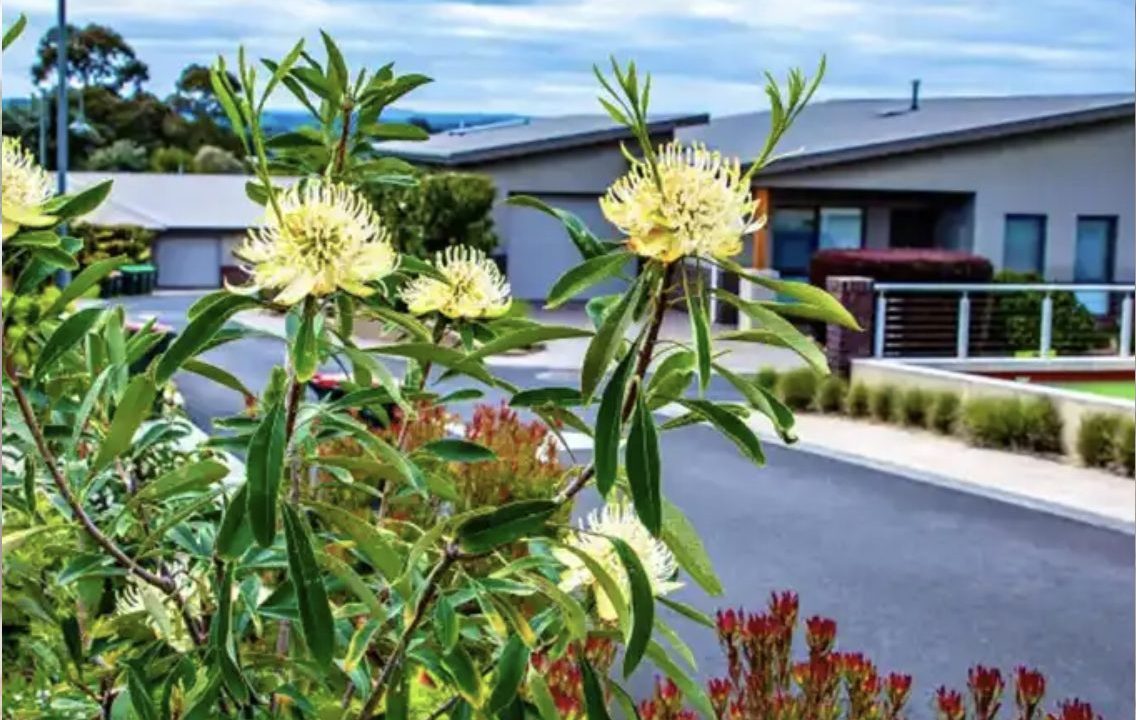 Mountain View Leongatha House