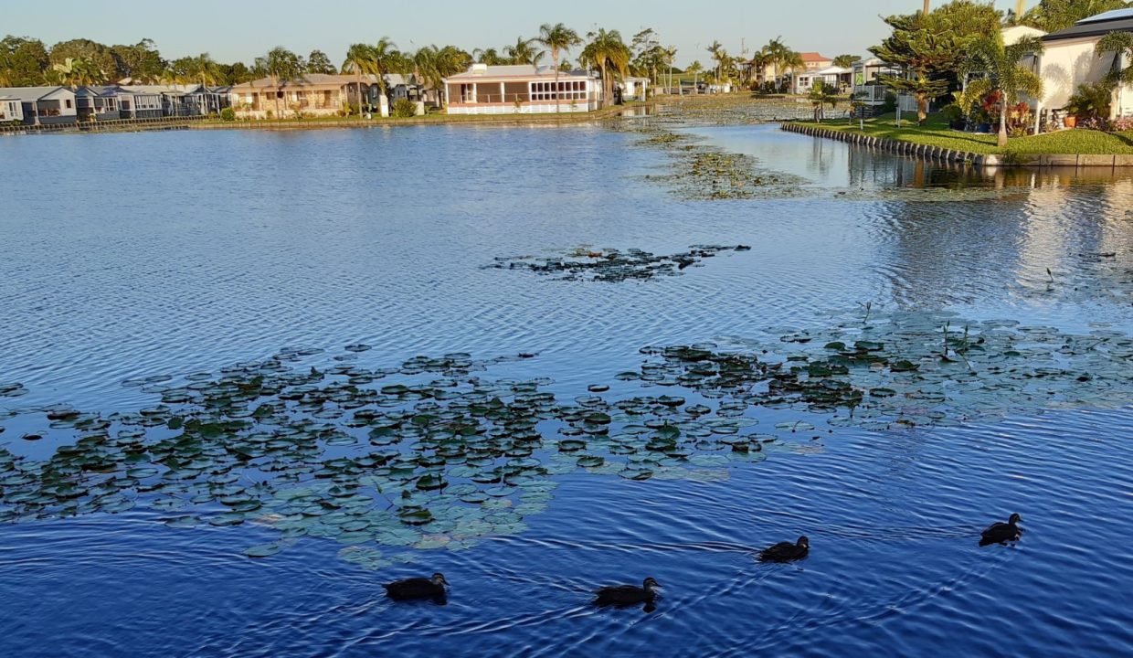 Paradise Lake Resort Lake landscape