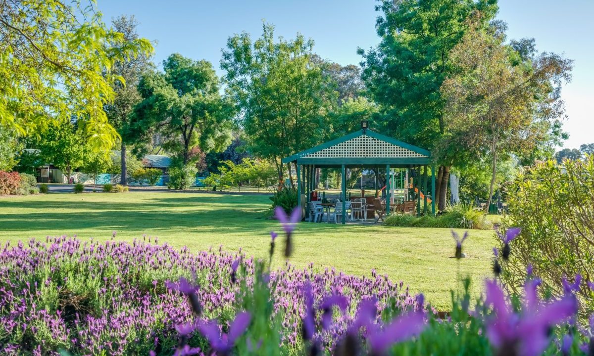 Albury Gardens Lifestyle Estate Community Garden